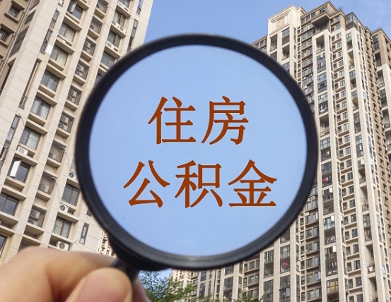 嘉善退休后查不到公积金明细了吗（退休后公积金查询不到原因）